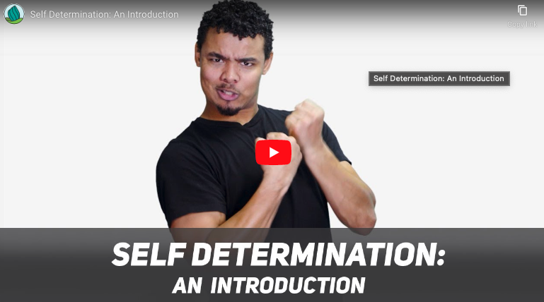 A screenshot of YouTube video of a person using a black shirt signing in sign language with the text, "Self Determination: An Introduction"