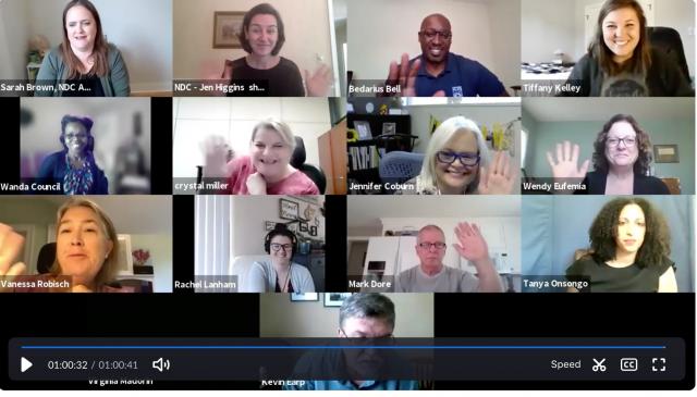 This image is of a screen capture from a video conference happening between thirteen people.