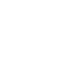 This is a white image of the logo Department of Education United States of America. The Logo is of a Grown Tree with a small seed at the bottom of the root of the tree.