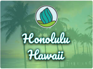 This image shows an area around a beach with lots of trees. In the top center, there is the logo of NDC and below there is the text " Honolulu Hawaii"