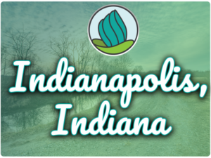 This image shows a dry road with some trees on the side. In the top center, there is the logo of NDC and below there is the text " Indianapolis Indiana"