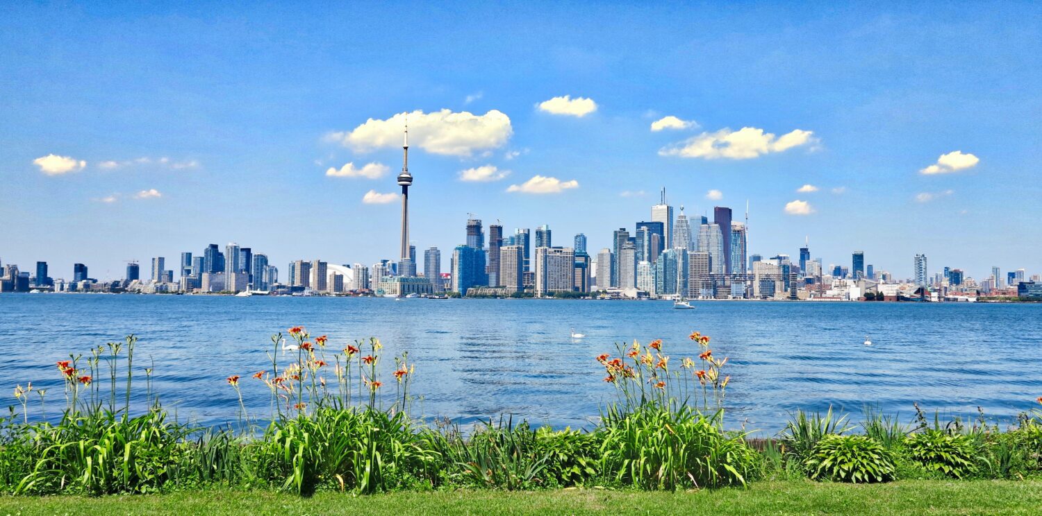 This is a rectangular image. The image is taken on a sunny bright day. The sky is blue with some small clouds. In the backend, there are huge skyscrapers across the frame of the image. In between there is a blue water body. In the forefront, there is green grass.