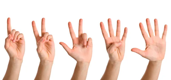 Group of hands engaged in numbers of one to five in sign language.