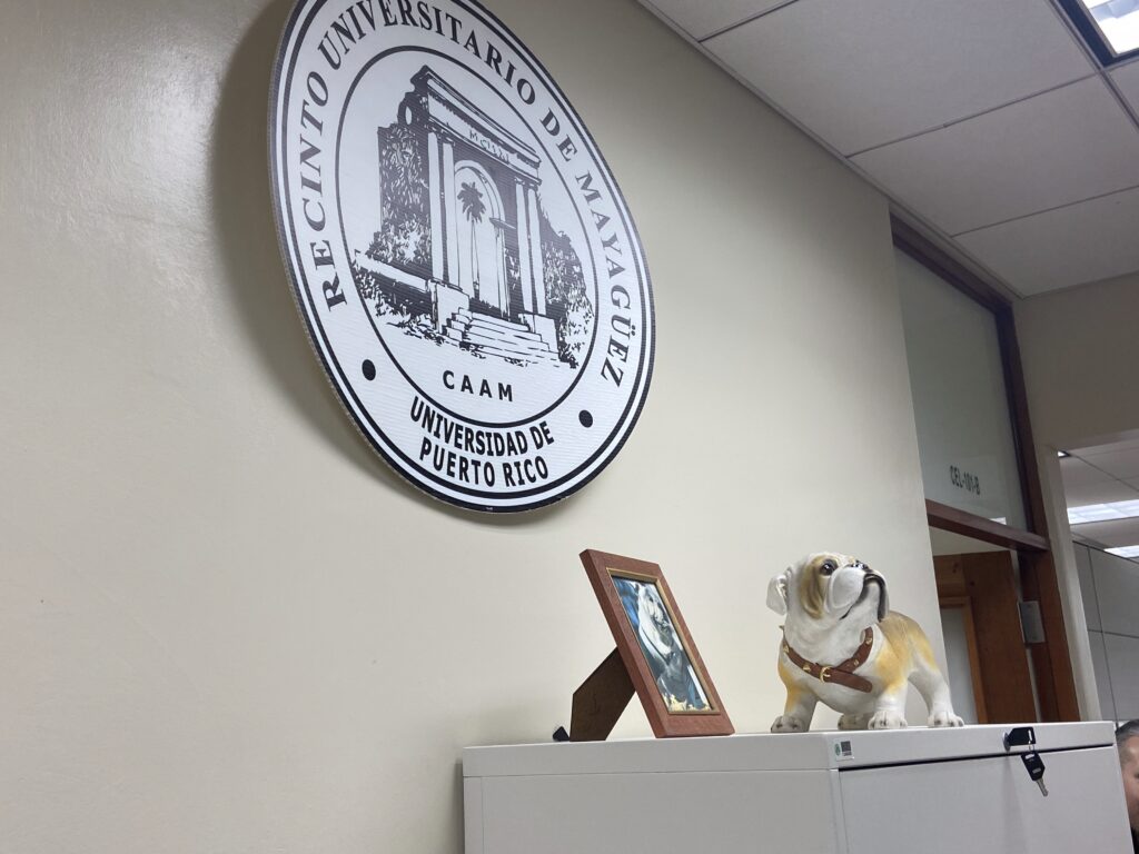 A large University of Puerto Rico Mayagüez (CAAM) wall seal is displayed above a cabinet holding a framed photo and a decorative bulldog statue in an office hallway.